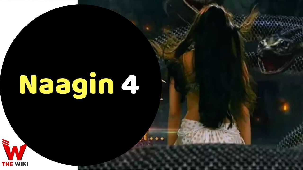 Naagin 4 Colors TV