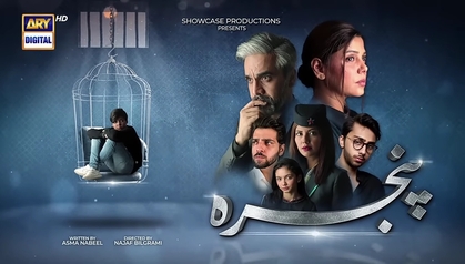 Pinjra 2022 TV series